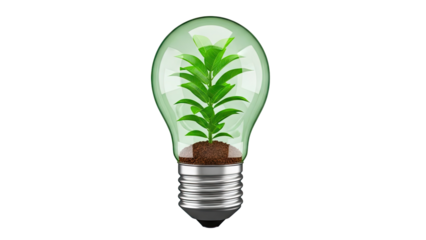 Plant Growing Inside a Light Bulb