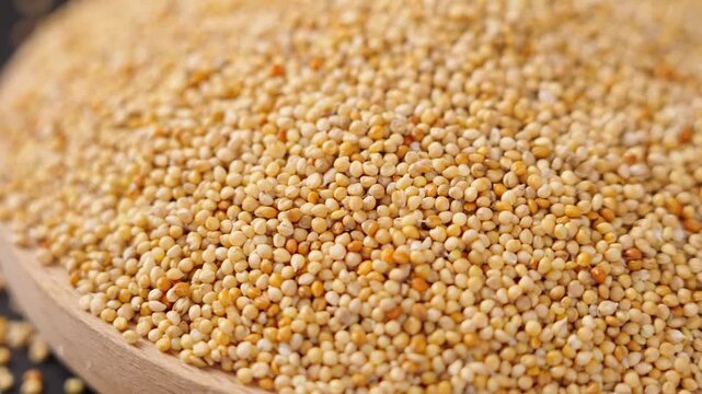 closeup of unpeeled millet grain background