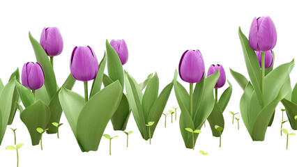 Purple Tulips and Seedlings in a Row