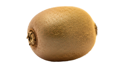 Single whole fresh ripe kiwi fruit with fuzzy brown skin.