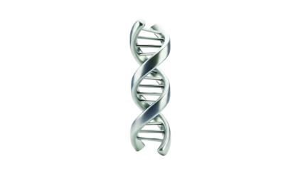 Dna double helix structure isolated on transparent background