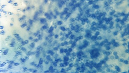 Microscopic view of blue cells and bubbles in a fluid medium, abstract science background.