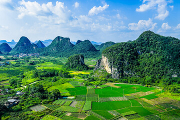 Beautiful green rice fields with karst mountain natural landscape in Guilin, China.