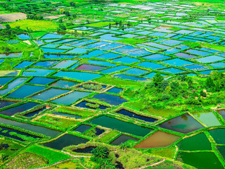 Beautiful green rice fields natural landscape in Guilin, China.