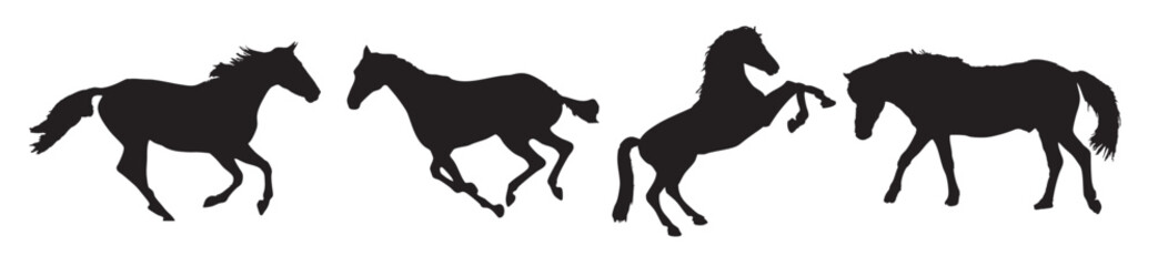silhouette of four horses in various poses