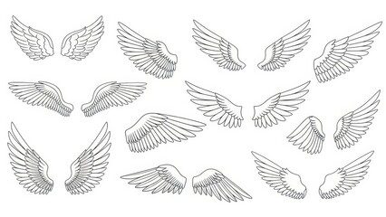 Fototapeta premium Assorted line drawing vector wings in various spread positions creating a diverse array of angelic
