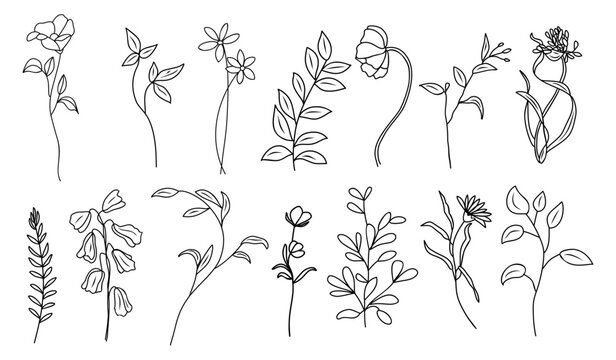 Minimalist black line vector illustration of hand drawn meadow flowers and leaves, clean botanical elements arranged as a decorative floral set on transparent background.