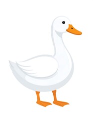 Obraz premium Cartoon image of a white duck with an orange beak and feet standing on a white background