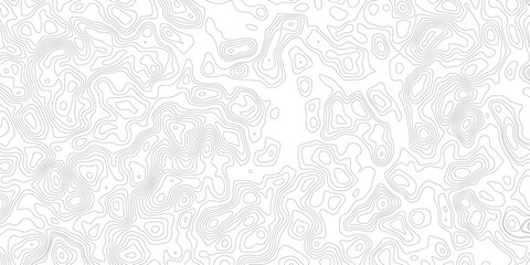 Topographic map background geographic line map with elevation assignments. Modern design with White background with topographic wavy pattern design.paper texture Imitation of a geographical map shades © Sajjad