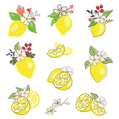 Fresh lemons with flowers and leaves. Fruit set. Citrus collection. Whole lemon, halved, slice, cut outline, isolated on white background. Black line drawing.