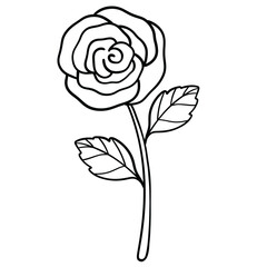 Adorable rose flower line art illustration 