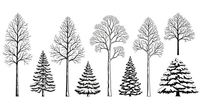 Diverse trees in winter landscape Vector