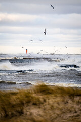 Fototapeta premium Stormy sea with strong waves crashing under a dramatic cloudy sky. A red navigation beacon stands in the distance while seabirds fly above the rough water. Windy coastal landscape