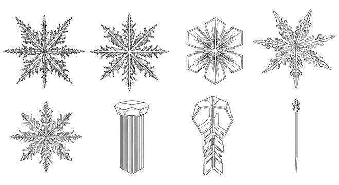 Intricate snowflake patterns display Vector