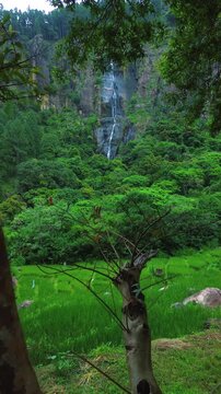 Bambarakanda Falls, Tallest Waterfall in Sri Lanka Surrounded by Lush Green Forest