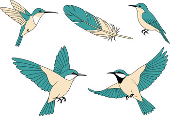 Fototapeta premium Hummingbird vector illustration set featuring flying birds, feather elements, flat cartoon style, nature wildlife design isolated on white background art