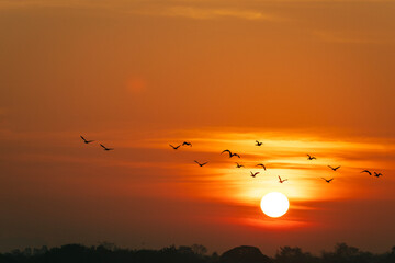 Beautiful sunrise in the early morning with flocks of birds soaring above a colorful sky.