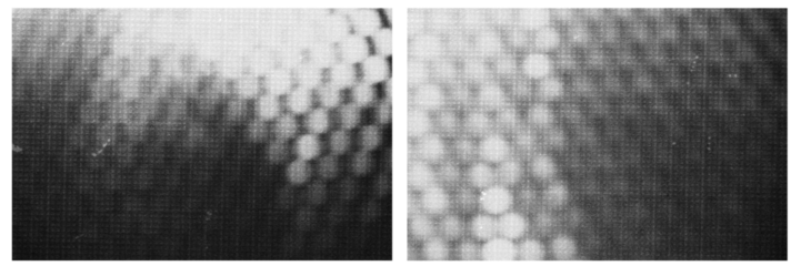 halftone texture overlay abstract splattered background.