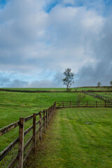 Green fields and meadows with old wooden fences on a cloudy sky in a beautiful landscape in the Cotswolds, England