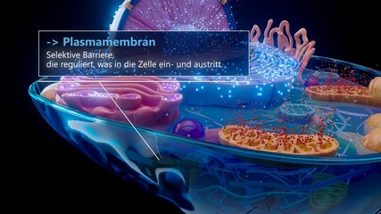 Obraz premium 3D illustration of the plasma membrane surrounding a cell in german