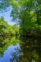 Ropotamo River Nature Reserve