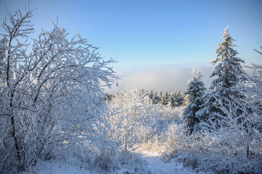 Winterwonderworld at Gro&szlig;e Feldberg, Germany &ndash; a stunning snowy paradise in the Taunus mountains. Snow, winter landscape, mountains, nature, outdoor scenery, travel destination