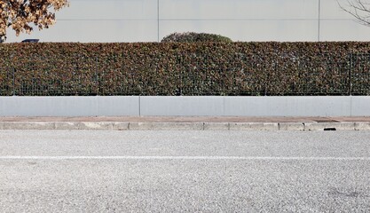 fence, grid, metal, railing, concrete, hedge, sidewalk, street, rooftop, cement, road, trees, asphalt, copy space, security, urban, roadside, gray, green, blank, empty, background, building, enclosure