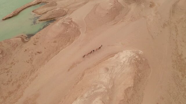 
Camel troop in wind erosion terrain landscape, yardang landform 4k