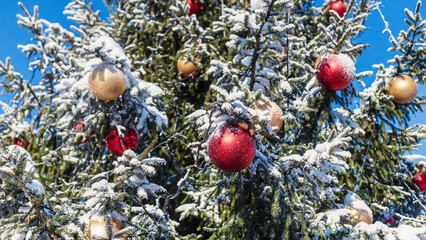 Christmas toys on a Christmas tree under snow.
