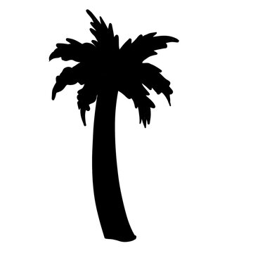 silhouette of date palm tree for ramdhan element