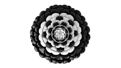 Black and White Abstract Flower