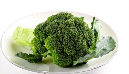 Fresh Broccoli on a Glass Plate.