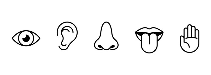 Icon of the five human senses. Eyes, nose, ears, hands, mouth with tongue. Isolated on white background.