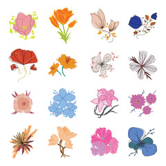 Obraz premium Blooming flower head collection. Vector soft colored roses and tulips for vintage floral design or wedding invitation