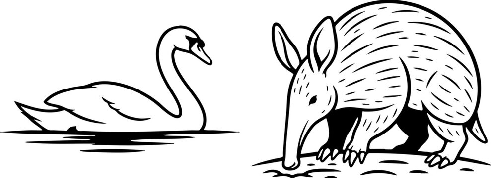 Stylized Aardvark and Swan Vector Illustration Set