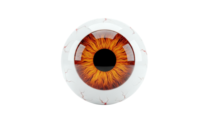 Detailed Human Eye with Fiery Iris and Red Veins