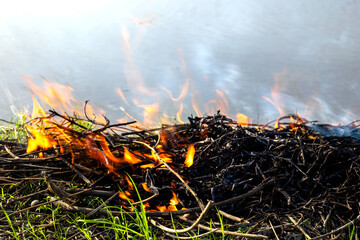 Fire burning dry leaves and branches on the ground outdoor. Concept of land clearing, agriculture, environment, air pollution, wildfire risk, and rural burning practices
