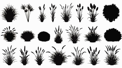 Fototapeta premium Black silhouettes of various grasses and plants on white background
