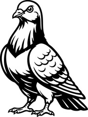 Obraz premium Detailed Standing Pigeon Vector Illustration Black and White Graphic