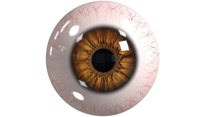 Close-up front view of a realistic human eyeball with a brown iris, black pupil, and visible red veins on the white sclera, isolated on a white background.