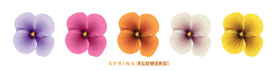 Spring Hibiscus flowers clipart set. Hibiscus Spring Flowers clip art in violet, pink, orange, white and yellow floral elements collection vector illustration.  © AmazeinDesign