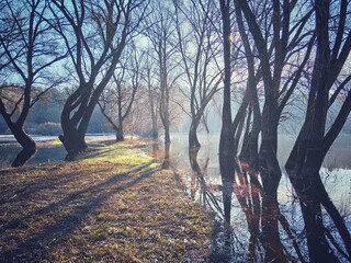 Beautiful spring landscape with morning fog, a river flood with high water against the background of trees.