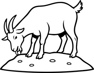 Obraz premium Black and white line drawing of a domestic goat grazing.