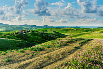 Obraz premium beautiful spring colorful flowering meadow with bright green hills of farm grassland and rustic path road leading far away to countyside valley and vivid sky of landscape