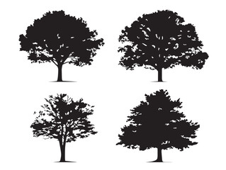 Fototapeta premium Elegant Maple Tree Icon Set With Majestic Forest Beauty 