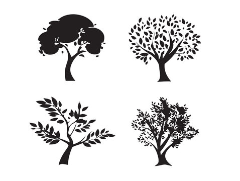A beautiful set of four lovely black intricate tree branch vector illustrations