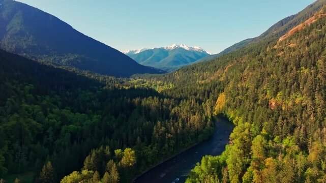 Aerial drone view of Olympic National Park in Washington, showcasing rugged mountain landscapes, forested slopes, and scenic alpine terrain. Ideal for nature and travel footage