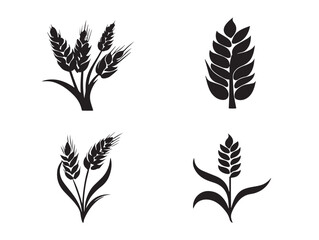 Fototapeta premium A gorgeous set of four elegant black wheat silhouette vector icons