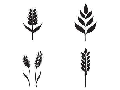 A gorgeous set of four simple black wheat stalk silhouette vector icons
