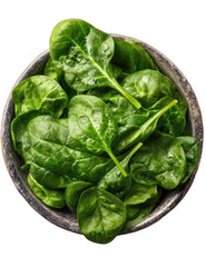 Bowl filled with fresh green spinach leaves viewed from above